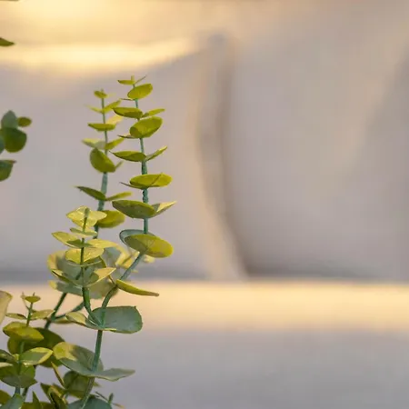 아파트호텔 Heritage 4*